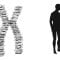 The twisting tale of DNA – Judith Hauck