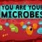You are your microbes – Jessica Green and Karen Guillemin