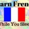 Learn French While You Sleep // 115 Common Phrases and Words \ Subtitles