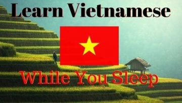 Pending – Youtube Automatic
