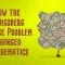 How the Königsberg bridge problem changed mathematics – Dan Van der Vieren