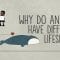 Why do animals have such different lifespans? – Joao Pedro de Magalhaes