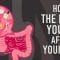 How the food you eat affects your gut – Shilpa Ravella