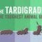 Meet the tardigrade, the toughest animal on Earth – Thomas Boothby