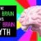 The left brain vs. right brain myth – Elizabeth Waters
