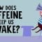 How does caffeine keep us awake? – Hanan Qasim
