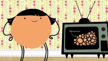 Private: Pending – Youtube Automatic