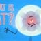 What is fat? – George Zaidan