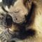 Moral behavior in animals – Frans de Waal