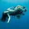 Deep sea diving … in a wheelchair – Sue Austin