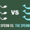 Human sperm vs. the sperm whale – Aatish Bhatia