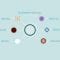 What are stem cells? – Craig A. Kohn