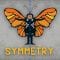 The science of symmetry – Colm Kelleher