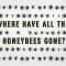 The case of the vanishing honeybees – Emma Bryce