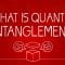 What can Schrödinger’s cat teach us about quantum mechanics? – Josh Samani