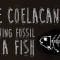 The coelacanth: A living fossil of a fish – Erin Eastwood