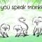 How to speak monkey: The language of cotton-top tamarins – Anne Savage