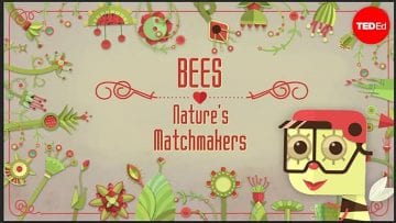 Private: Pending – Youtube Automatic