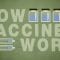 How do vaccines work? – Kelwalin Dhanasarnsombut