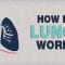 What do the lungs do? – Emma Bryce