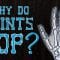 Why do your knuckles pop? – Eleanor Nelsen