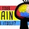 Could your brain repair itself? – Ralitsa Petrova