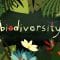 Why is biodiversity so important? – Kim Preshoff