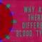 Why do blood types matter? – Natalie S. Hodge