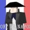 History vs. Napoleon Bonaparte – Alex Gendler