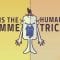 Why are human bodies asymmetrical? – Leo Q. Wan