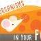 The beneficial bacteria that make delicious food – Erez Garty