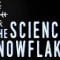 The science of snowflakes – Maruša Bradač