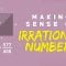 Making sense of irrational numbers – Ganesh Pai