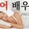 영어 배우기 |||  가장 중요한 영어 구와 단어들 |||  영어수면 학습