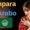 Impara l’Arabo Mentre Dormi ||| Frasi e Parole Più Importanti in Arabo ||| Arabo/Italiano