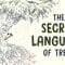 The secret language of trees – Camille Defrenne and Suzanne Simard