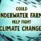 Could underwater farms help fight climate change? – Ayana Johnson and Megan Davis