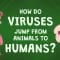 How do viruses jump from animals to humans? – Ben Longdon