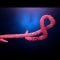 Ebola Virus Spreads in Africa as Vaccine Sits on Sideline