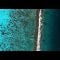 The Green Tech Bringing Life Back to the Sea
