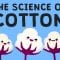 Why is cotton in everything? – Michael R. Stiff