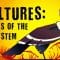 Vultures: The acid-puking, plague-busting heroes of the ecosystem – Kenny Coogan