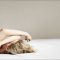 Huffington Tries to Get People to Sleep More During Virus Pandemic