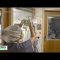 Holy Name Medical Center Uses Placenta Cells to Treat Covid-19