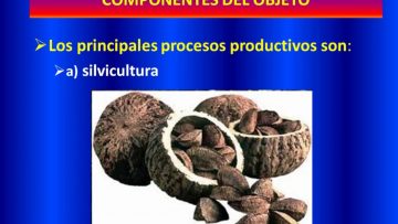 [ID: bnfJsNVa1so] Youtube Automatic