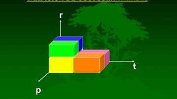 [ID: iaZJz6nQbZA] Youtube Automatic