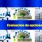 INTERNAC  PARTE 2 2 3 Evaluación de opciones