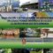 Viabilizacion CV Fase B