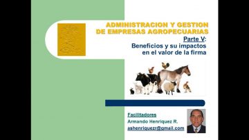 [ID: LAyS4Rz5IPk] Youtube Automatic