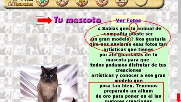 [ID: narhbqu4-6g] Youtube Automatic